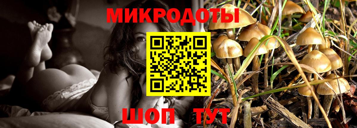 Кириши  Галлюциногенные грибы мухоморы  Вход с VPN 