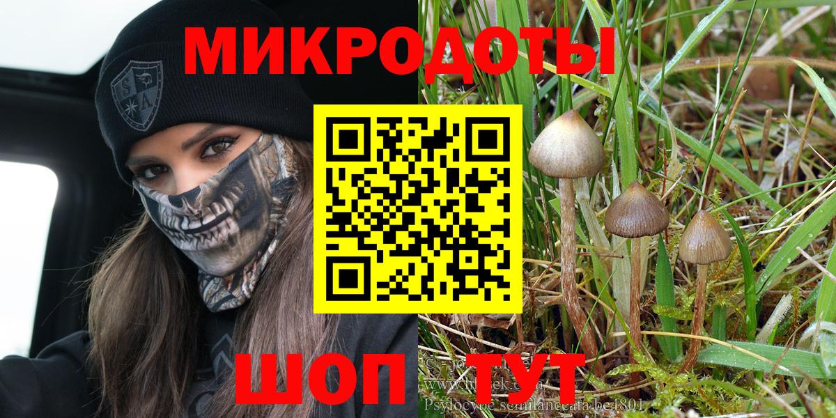 Галлюциногенные грибы GOLDEN TEACHER Кириши